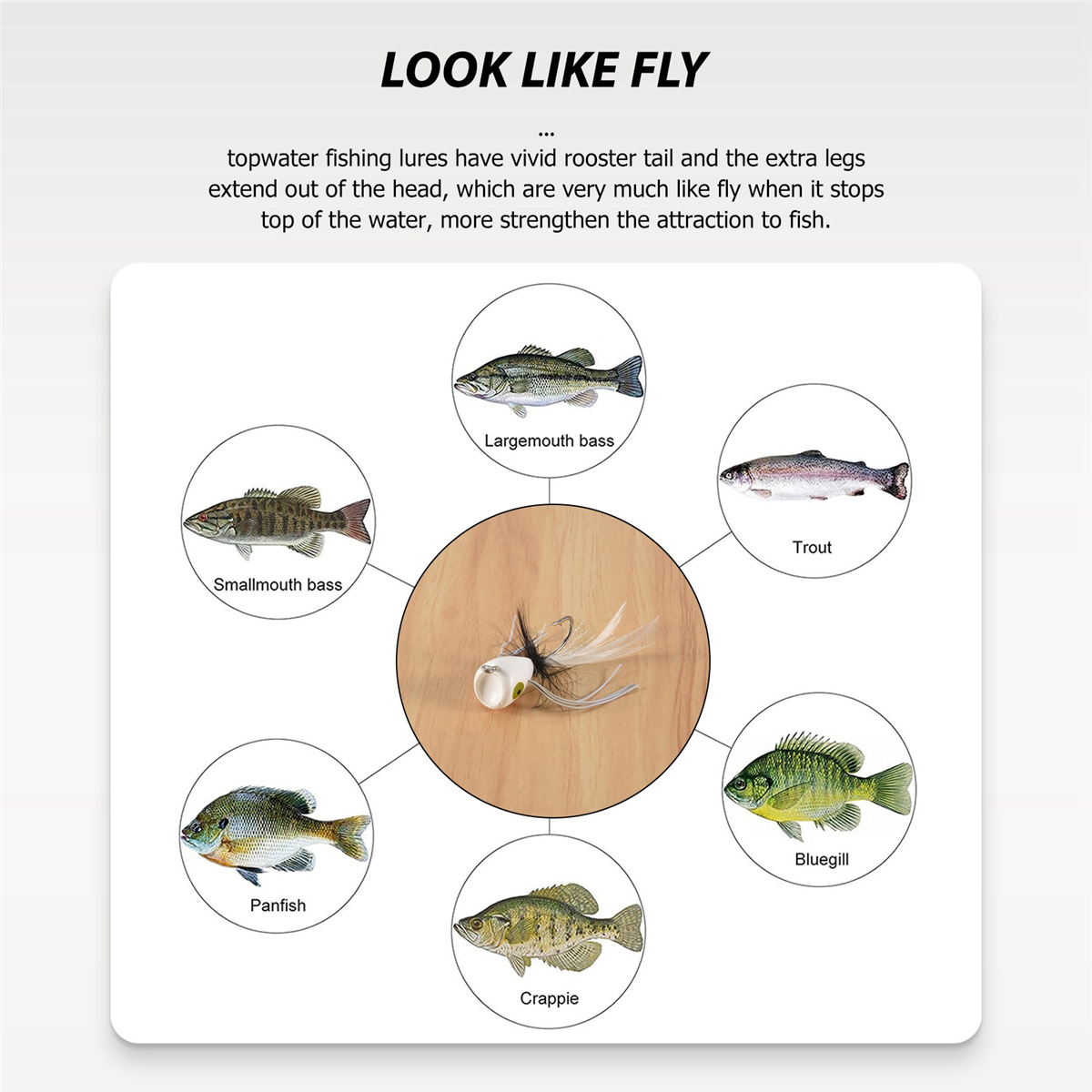 10PCS Fly Fishing Poppers,Topw - Fishing Lure Topwater 리뷰 및 가격
